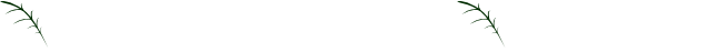 wakaba woodworks logo